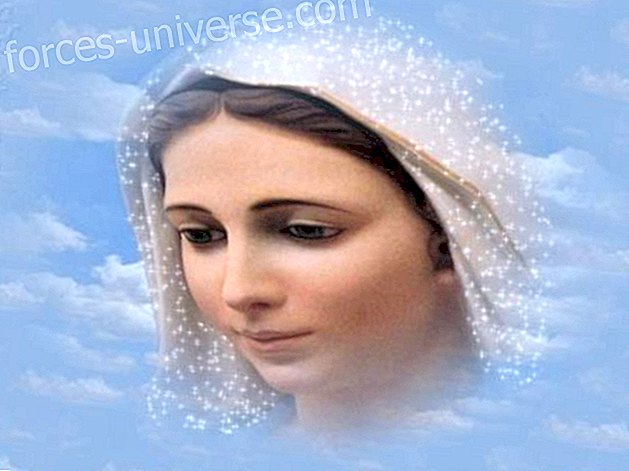Message from Mary: This is the essence by which you are here right now and