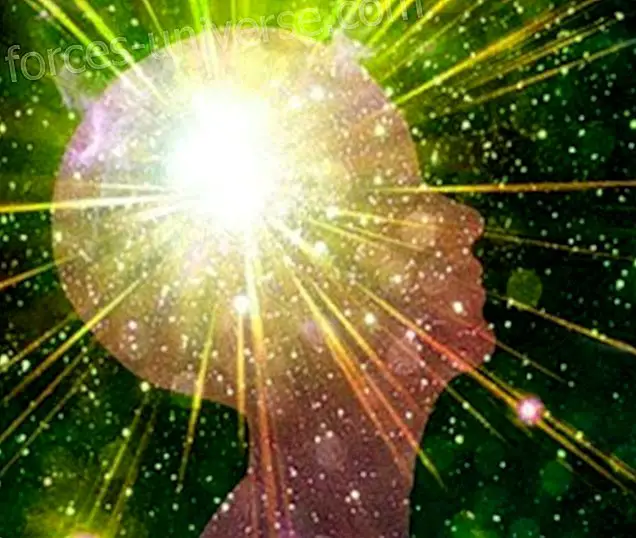 Radiant Light Council: The Way How Your Sovereignty Affects Others channeled by Ailia Mira