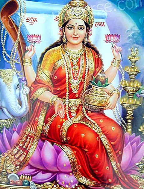 Mantra of Goddess Lakshmi for at tiltrække overflod - Meddelelser fra himlen