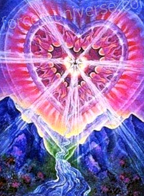 Jag är Oncara Master of Light.  Låt oss plantera Seeds of Love som kanaliseras av Inés - Meddelanden från himlen