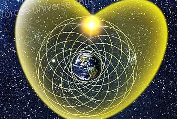 Du cœur au ventre - Terminer le voyage de l'âme - Pamela Kribbe canalise la Terre - Messages du ciel
