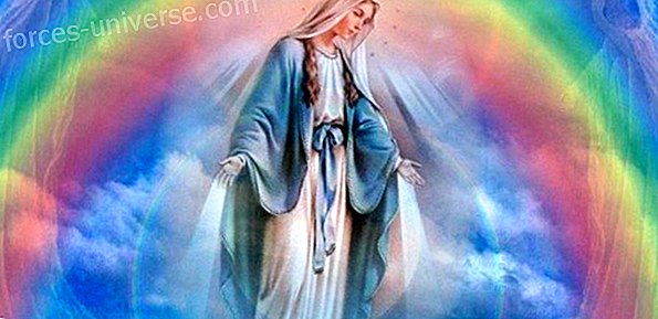 Mother Mary Universal: "The Splendor of Diversity", Disalurkan oleh Linda Dillon
