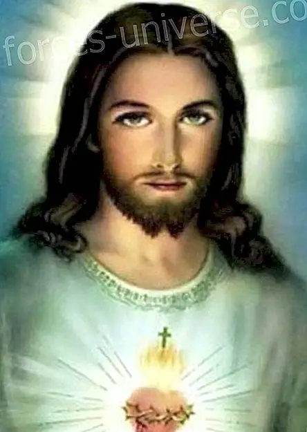 Message from Jesus Sananda: "Life is ONE" - Messages from Heaven