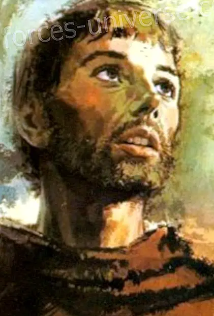 Ylösnoussut mestari - Assisin Pyhä Franciscus - Viestit taivaasta