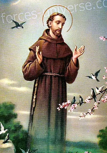 Sant Francesc d'Assís - Coneguem la seva meravellosa història - Missatges del Cel