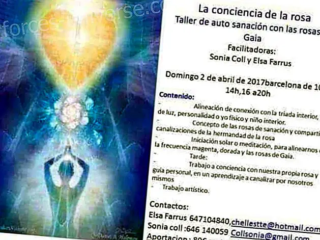 Isikliku töö ja enesetervendamise töötuba „Gaia rooside teadvus“, 2. aprill 2017 Barcelonas - Sõnumid taevast