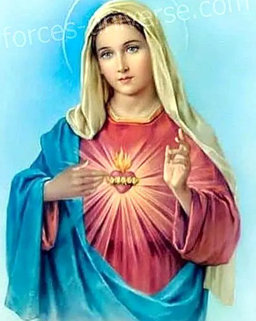 Message from Mother Mary about the changes on Earth, channeled on February 5, 2018