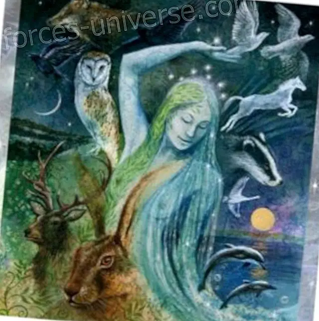 Meddelande från Mother Earth: Min nya konfiguration via María Ruso-Adehenna - Meddelanden från himlen