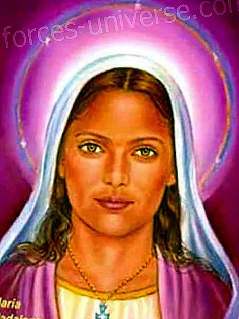 Arusaamise võime - Janani-Sheila kanaldatud Maarja Magdaleena sõnum (2.-XII-2010) - Sõnumid taevast