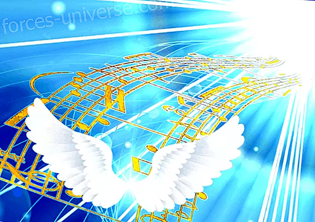 Kærlighed, englenes budskab - Meddelelser fra himlen