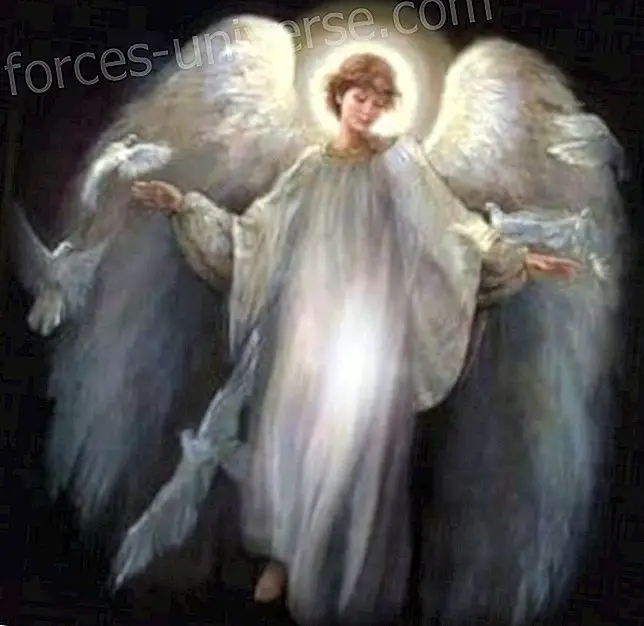The angels attend and accompany all our life processes - Messages from Heaven