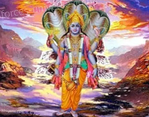 Descobreix el Significat de Narayana com a guia espiritual - Missatges del Cel