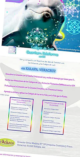 KAI ja LUZ Quantum Holoforms -koodit Xalapa Veracruzissa, Meksikossa - Viestit taivaasta