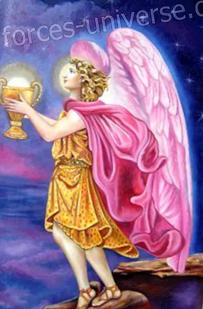 Masters of the Pink Ray sender Golden Rose-regn til planeten, der kanaliseres af Solange Marín Meddelelser fra himlen - 2023