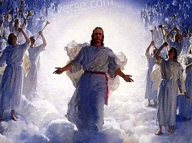 2012 Jeesukselle, Kristukselle, suuren lopun alku - Viestit taivaasta