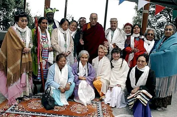 Chronique de la rencontre entre grands-mères et grands-mères de la tradition d'Anahuac - Messages du ciel