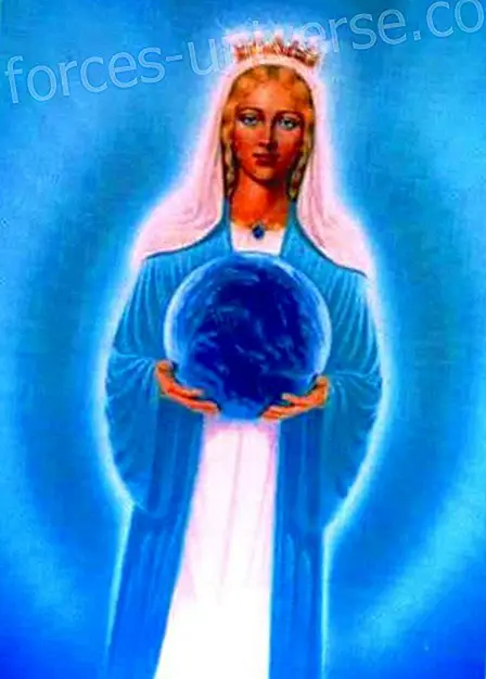 Lassen Sie sich von Joy leiten - Mary durch Pamela Kribbe - Botschaften vom Himmel