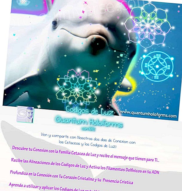 KAI and Quantum Holoforms Light Codes in Chile and Argentina "Deepen the Connection with your Crystalline Heart and your Christ Presence - Messages from Heaven