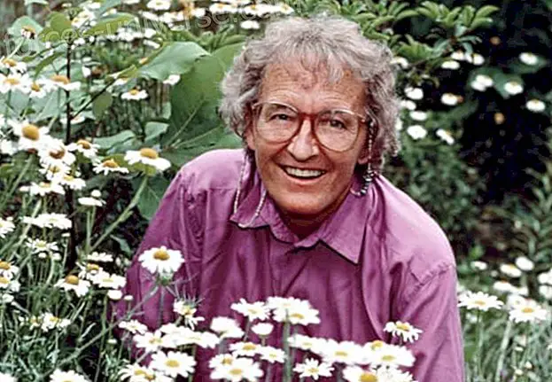 Who is Elisabeth Kubler Ross? - Messages from Heaven