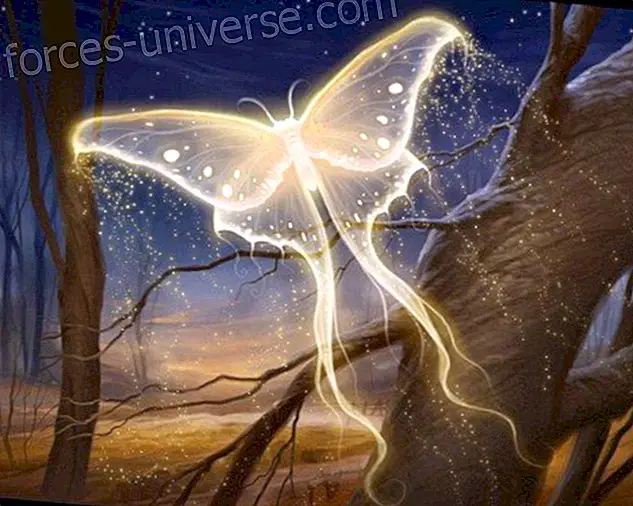Quantum Awakening ~ Guardians of the Last Hope ~ av Gillian MacBeth-Louthan - augusti 2012 - Meddelanden från himlen