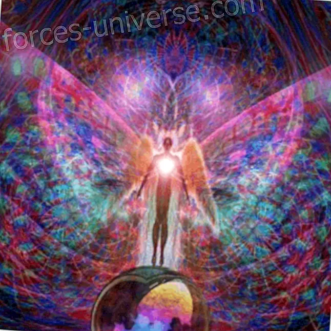 Christine Meleriessee Hayden ~ The great divine director ~ Understanding how karma fits into your ascension path - Messages from Heaven