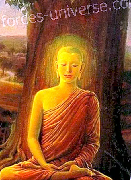 La oss alltid gå for lyset, ord fra Mr. Buddha - Meldinger fra himmelen