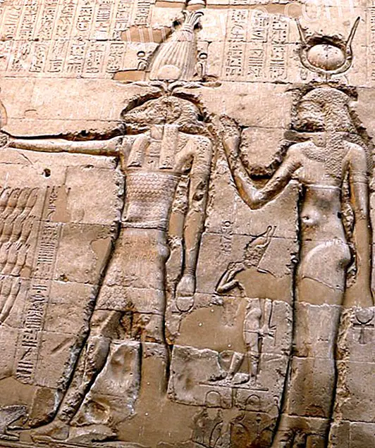 Une brève introduction sur les Hathors - Messages du ciel