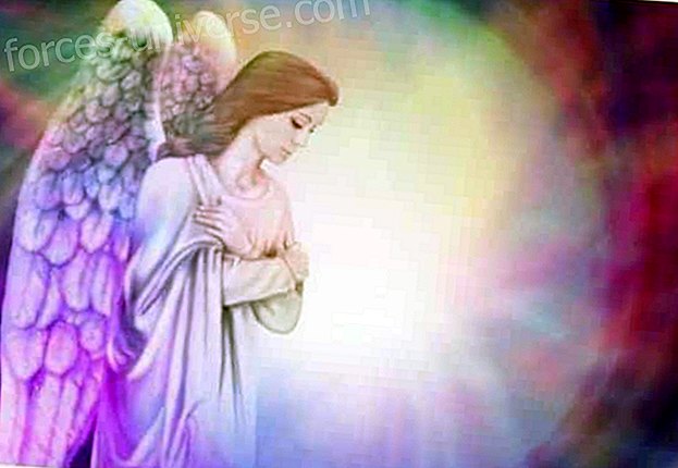 Pesan dari Bunda Ilahi: "Saya seorang ibu yang bangga pada hari ini"