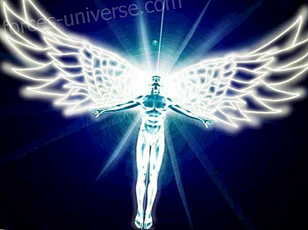 EVOLUTIONENS MYSTERIER: Den ängelkroppen du skapar i varje reinkarnation - Meddelanden från himlen