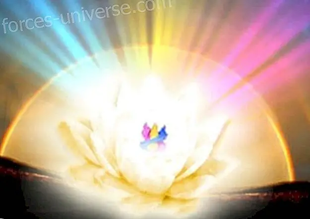 From the High Spheres of the Precious Being, Channeled by Marisa O. - Messages from Heaven