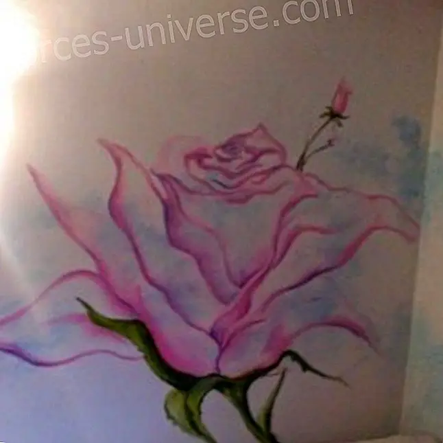 Konstens ros älskade Mary kanaliseras av Elsa Farrus - Meddelanden från himlen