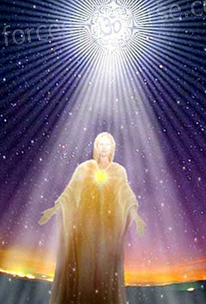 Olen valguse olend - Sõnumid taevast