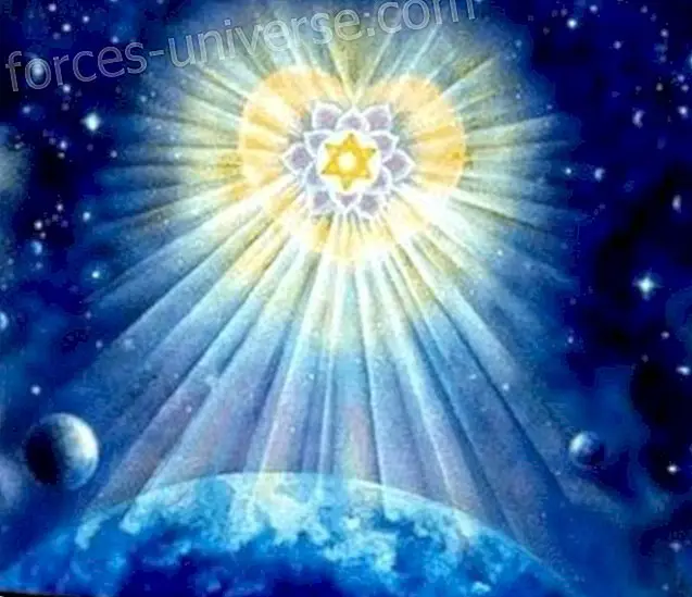 Augmentar la Vibració de Llum del Chakra Cor amb el Rayo Espígol - Missatges del Cel