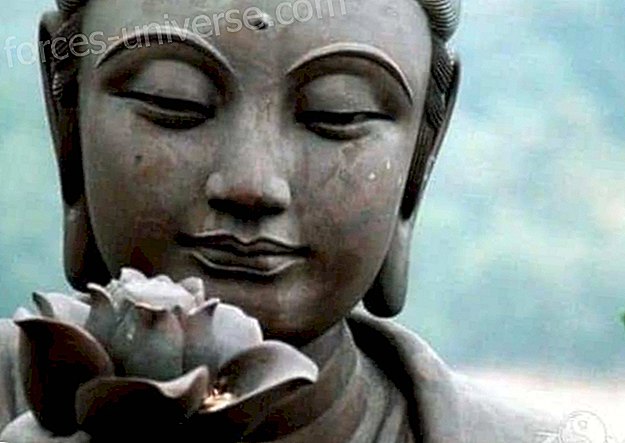 Buddhas, Jesus Kristus og Marias energi dækker dem for at bringe dem i harmoni med en energi af nåde og overlegen kærlighed