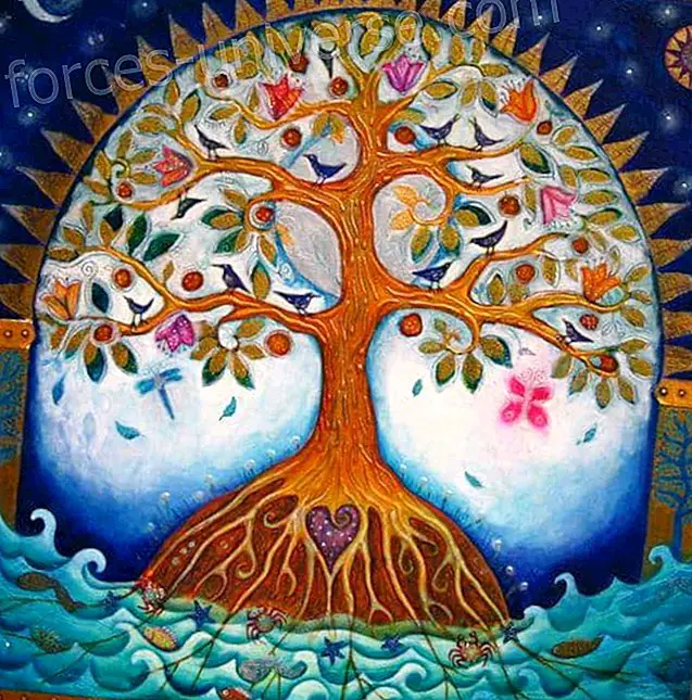 Taimeriigi jumalik olemus - puude püha energia - Sõnumid taevast