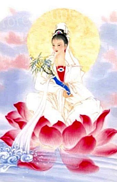 Les dix principes de bonheur de Maître Kwan Yin, première partie, octobre 2010 - Messages du ciel