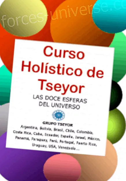 TSEYOR Holistic Course     De 12 sfærer af universet - Meddelelser fra himlen