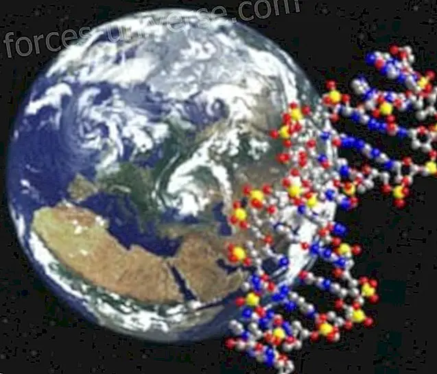L'ADN révélé - Kryon, canalisé par Lee Carroll - Messages du ciel