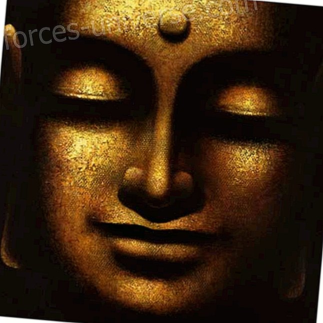 DHAMMAPADA ehk õiguse tee ja sissejuhatus kuulsusrikka Buddha õpetustesse - Sõnumid taevast