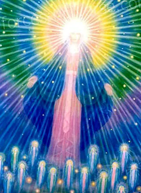 Meditation af den Maria guddommelige kærlighed- Meddelelser fra himlen - 