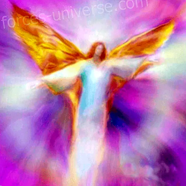 Divine Mother - Den integrerende proces med den indre Kristus og det højere selv - Meddelelser fra himlen