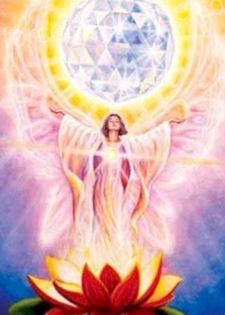 Archangel Adrigon: Buka Hati Anda Untuk Menerima Cinta Kami - Pesan dari Surga