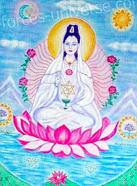 “The Meaning of Compassion in this Cycle: The Teachings of Lady Quan Yin through Celia Fenn - Messages from Heaven