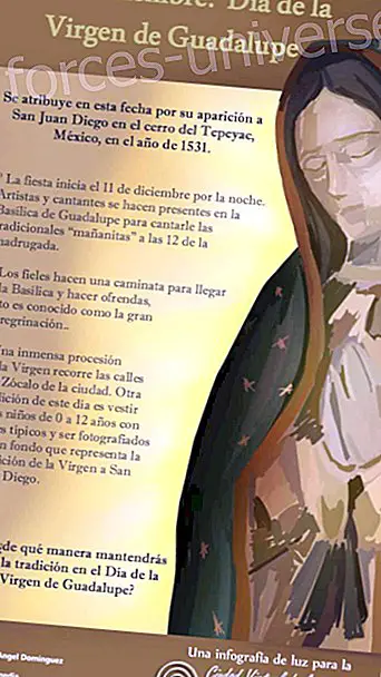 Infographic: December 12 Day of the Virgin of Guadalupe. - Messages from Heaven