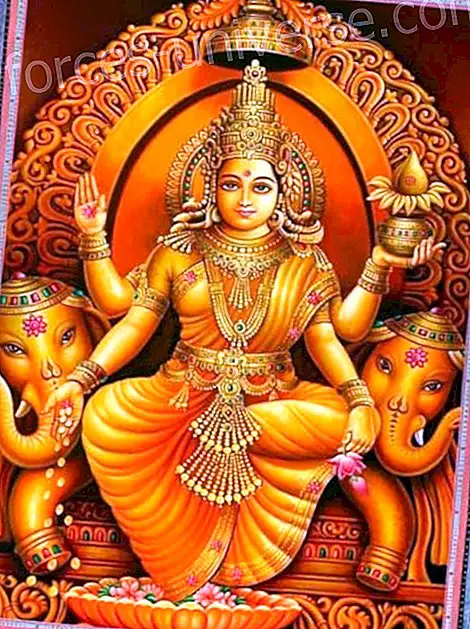 Hvem er gudinde Lakshmi