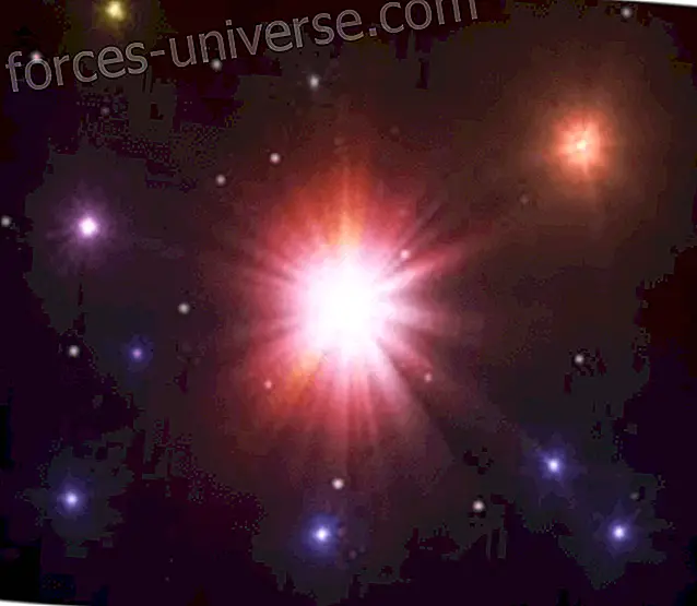 Spüren Sie die pure Energie der Sonne SaLuSa, 8. November 2013 Botschaften vom Himmel 