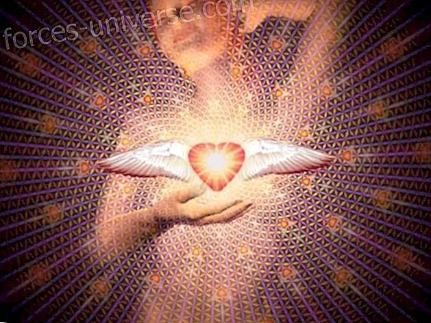 Sumate memilih dengan inisiatif jantung sisterndocorazones.com - Dunia Spiritual