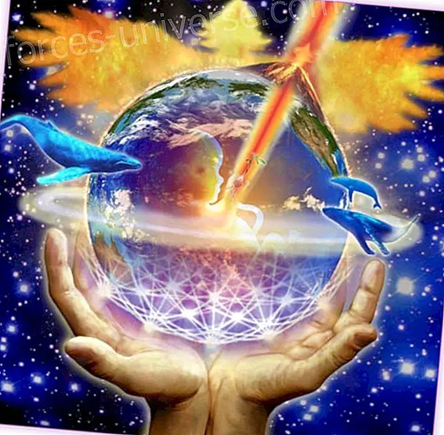 Projecte Consciència Solar, meditació mensual desembre.  El Pilar de Llum en l'Oceà i el Vòrtex d'expansió de Consciència - món Espiritual