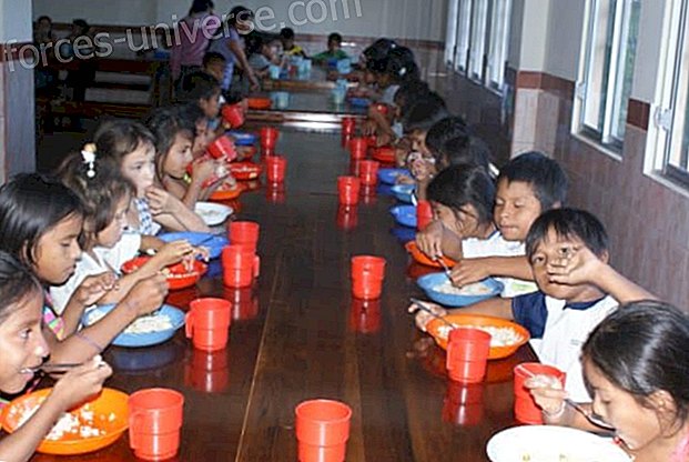 Fundación Chankuap (Ecuador) ja Sairaanhoitajat maailmalle pyytävät apua lasten aliravitsemuksen torjumiseksi Ecuadorin Amazonissa, joulukuu 2014 - Hengellinen maailma
