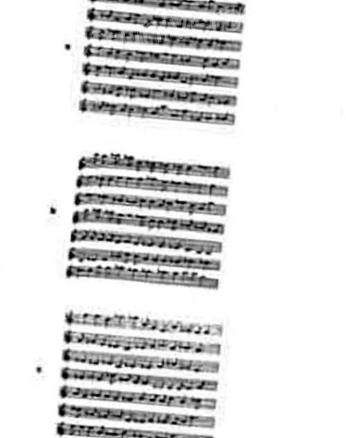 Den fraktala strukturen för harmoniska oscillatorer i musik: Nyårskonsert: JS.Bach.  Brandenburg konserter.- Andlig värld - 